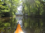img_7810